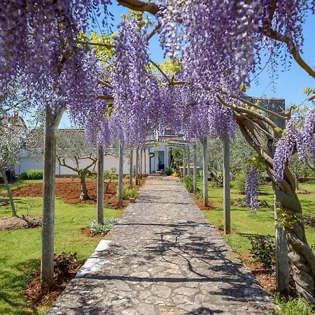 Bella Ana Porec